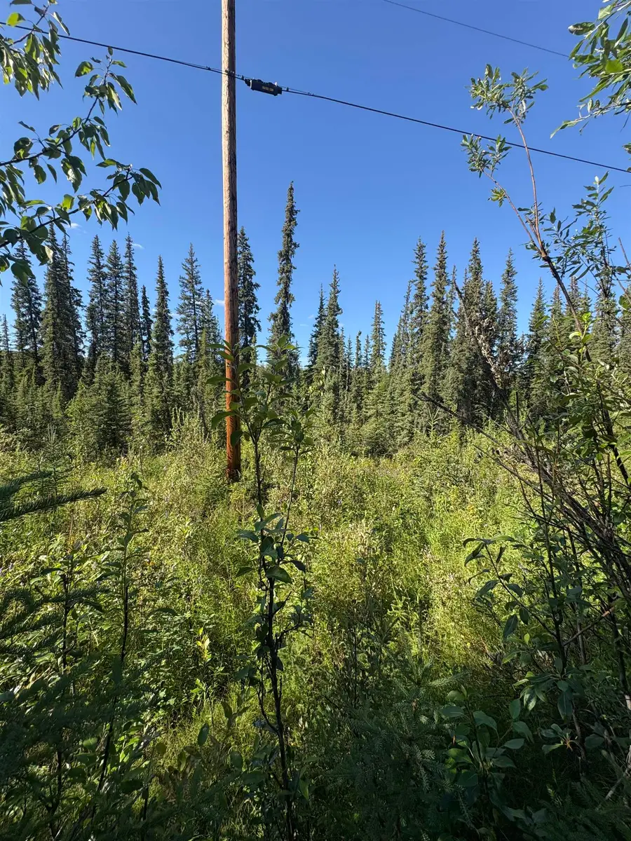 2820 RELIANCE DRIVE, Fairbanks, AK 99709 - #3