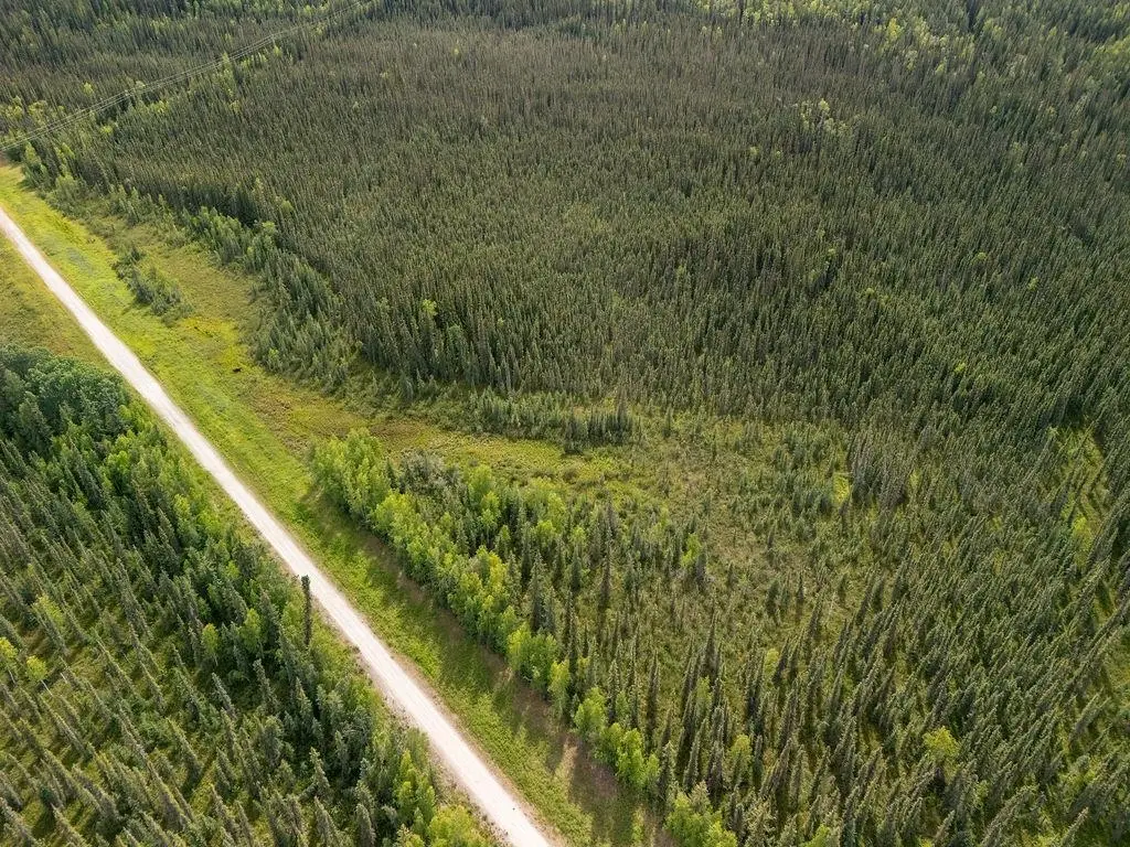 NHN SHOWALTER TRACTS, North Pole, AK 99705 - #1