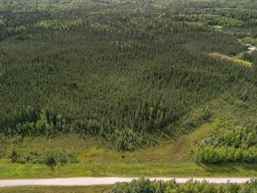 NHN SHOWALTER TRACTS, North Pole, AK 99705 - #3