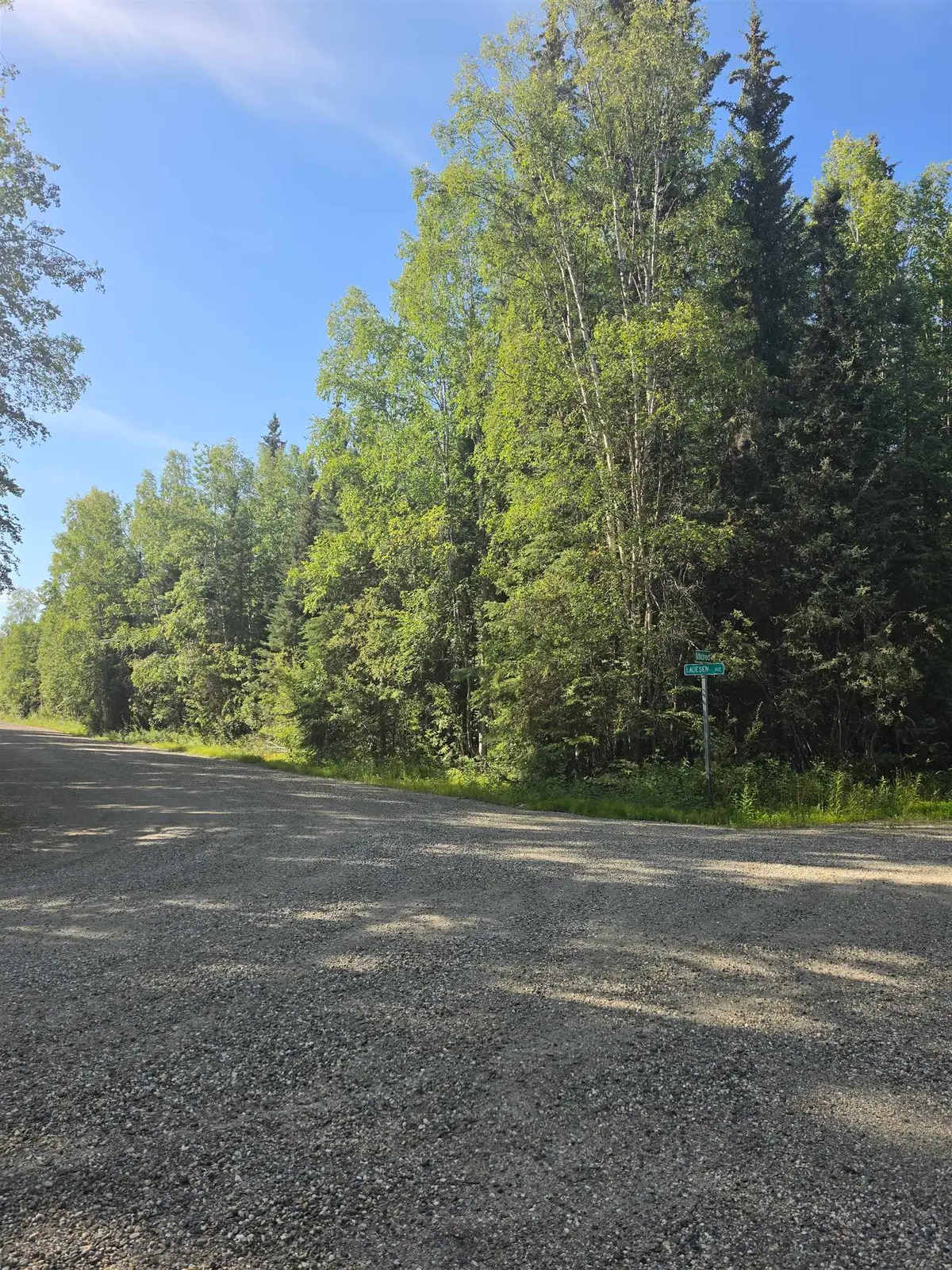 NHN LAUESEN AVENUE, North Pole, AK 99705 - #1