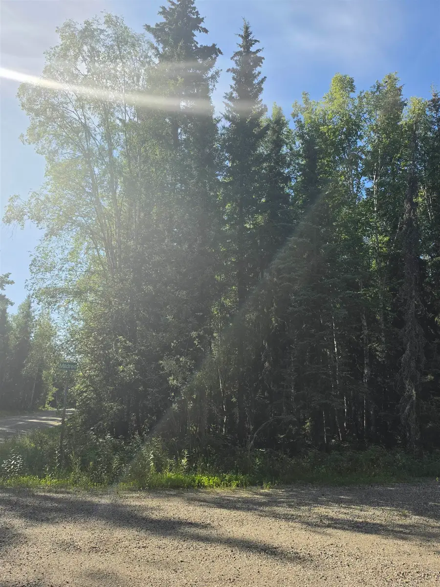 NHN LAUESEN AVENUE, North Pole, AK 99705 - #2