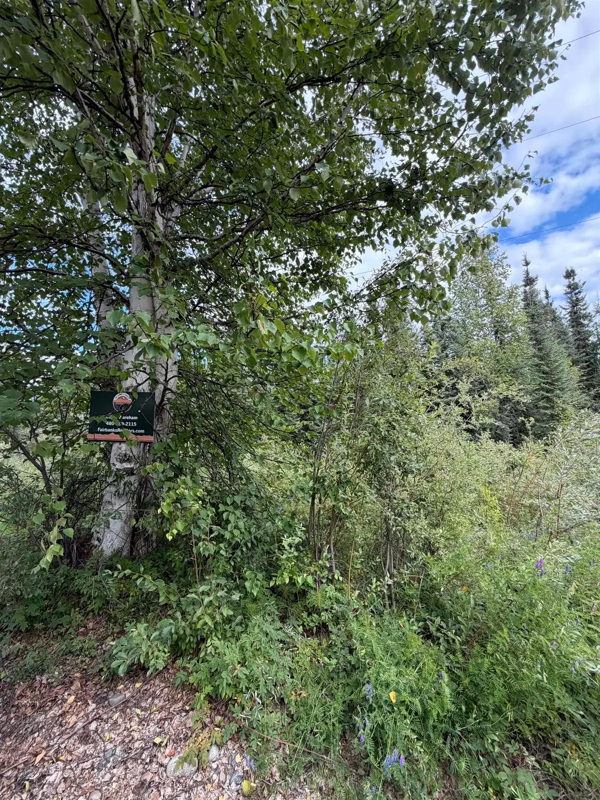 NHN MORNING GLORY LOOP, North Pole, AK 99705 - #1