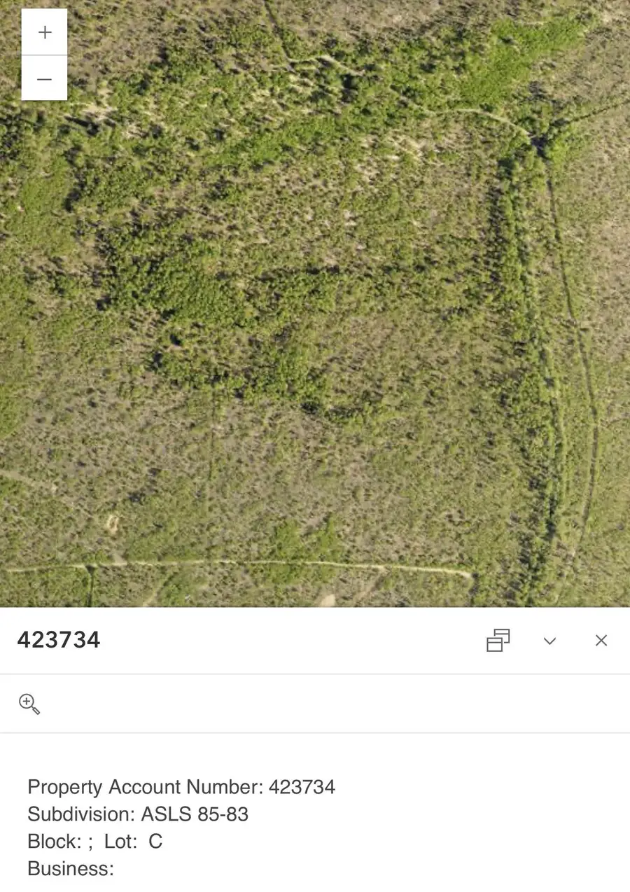 Tract C STEESE HIGHWAY, Fairbanks, AK 99712 - #2