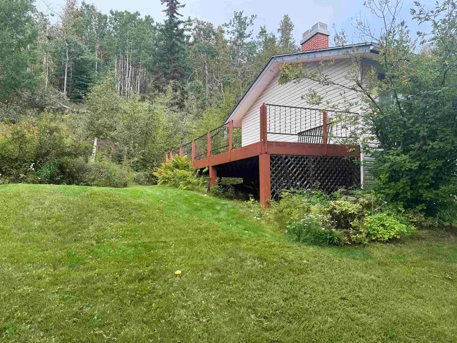 3704 SPINACH CREEK ROAD, Fairbanks, AK 99709 - #3