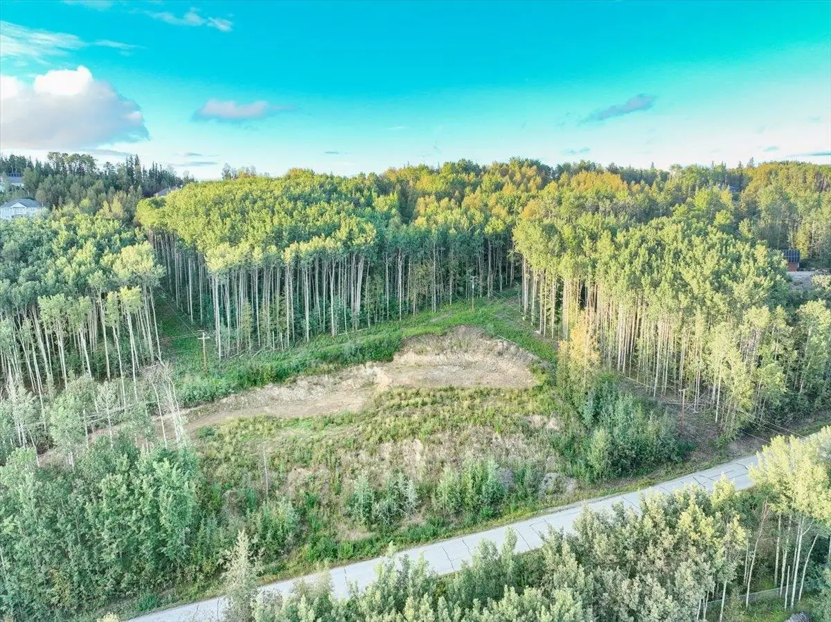1301 SUMMIT DRIVE, Fairbanks, AK 99712 - #1