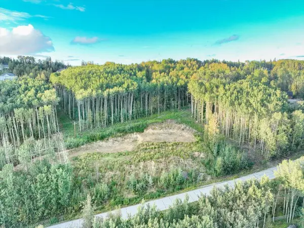 1301 SUMMIT DRIVE, Fairbanks, AK 99712