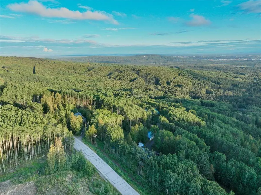 1301 SUMMIT DRIVE, Fairbanks, AK 99712 - #2
