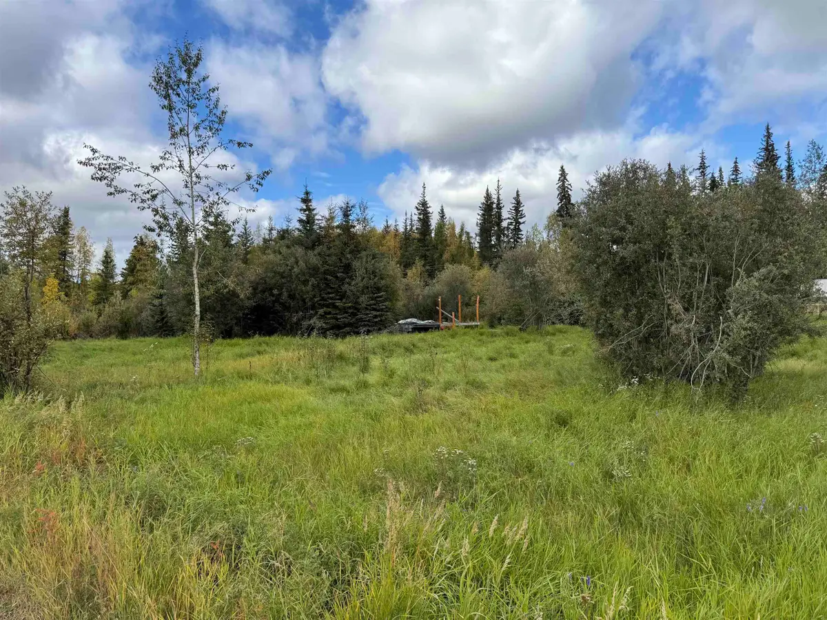 790 FOXTAIL DRIVE, Fairbanks, AK 99705 - #1