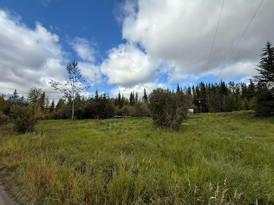790 FOXTAIL DRIVE, Fairbanks, AK 99705 - #2