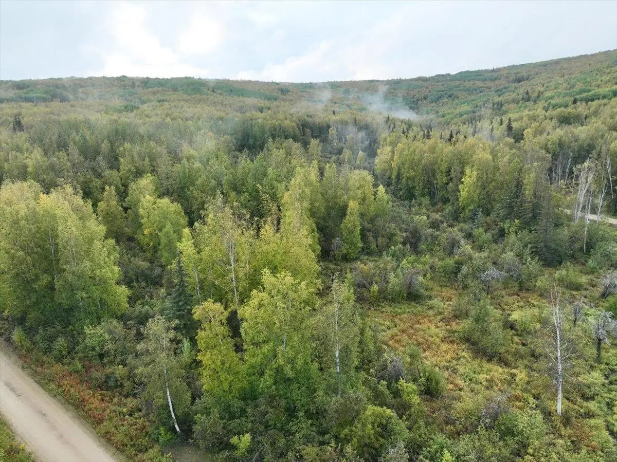 810 DUCKWOOD COURT, Fairbanks, AK 99701 - #1