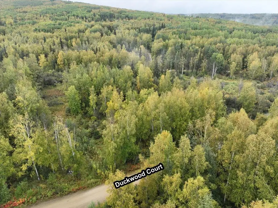 810 DUCKWOOD COURT, Fairbanks, AK 99701 - #3