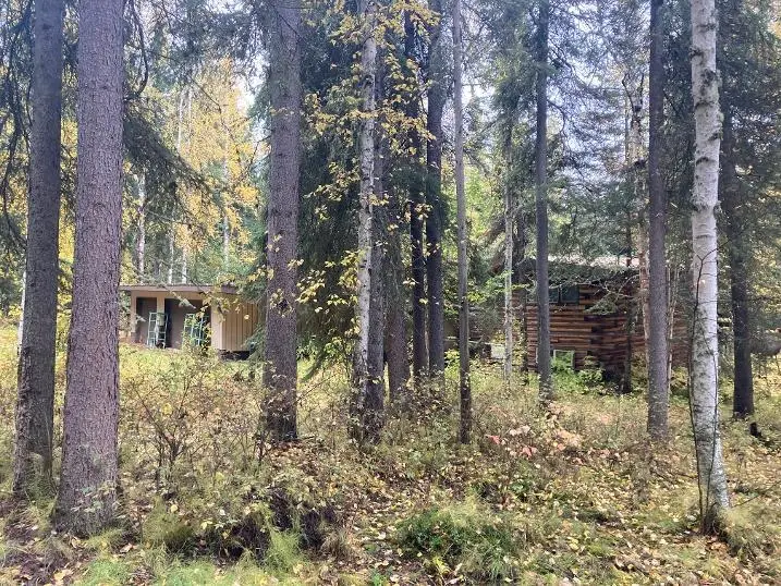 NHN YANKOVICH ROAD, Fairbanks, AK 99709 - #2