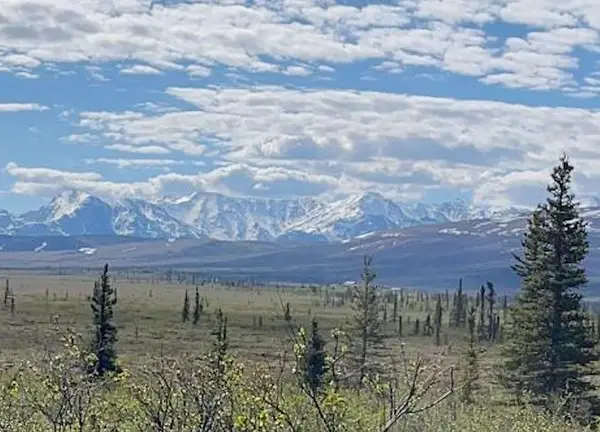 NHN STAMPEDE ROAD, Healy, AK 99743