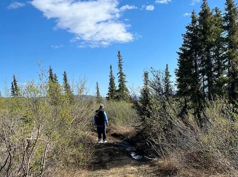 NHN STAMPEDE ROAD, Healy, AK 99743 - #2