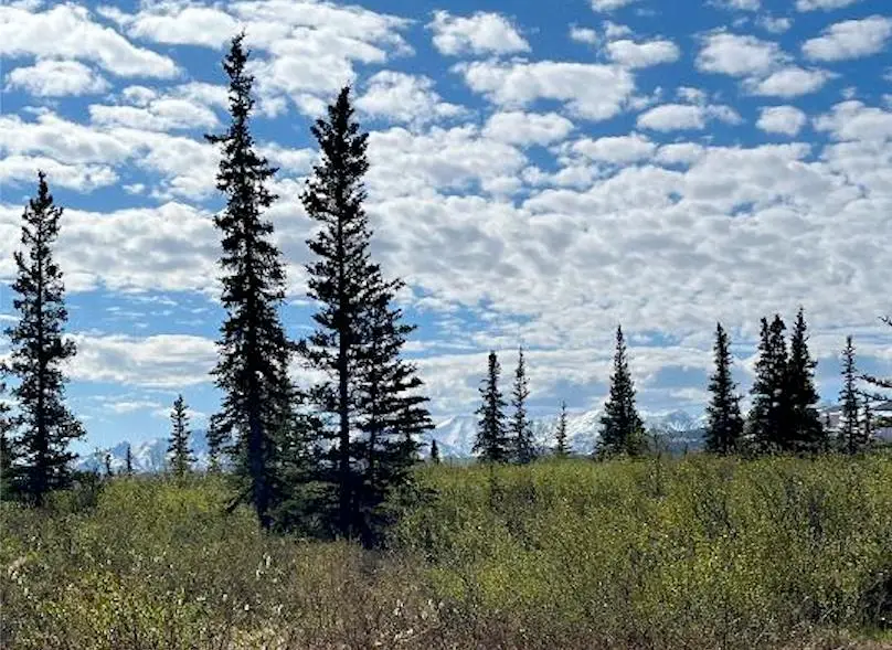 NHN STAMPEDE ROAD, Healy, AK 99743 - #3