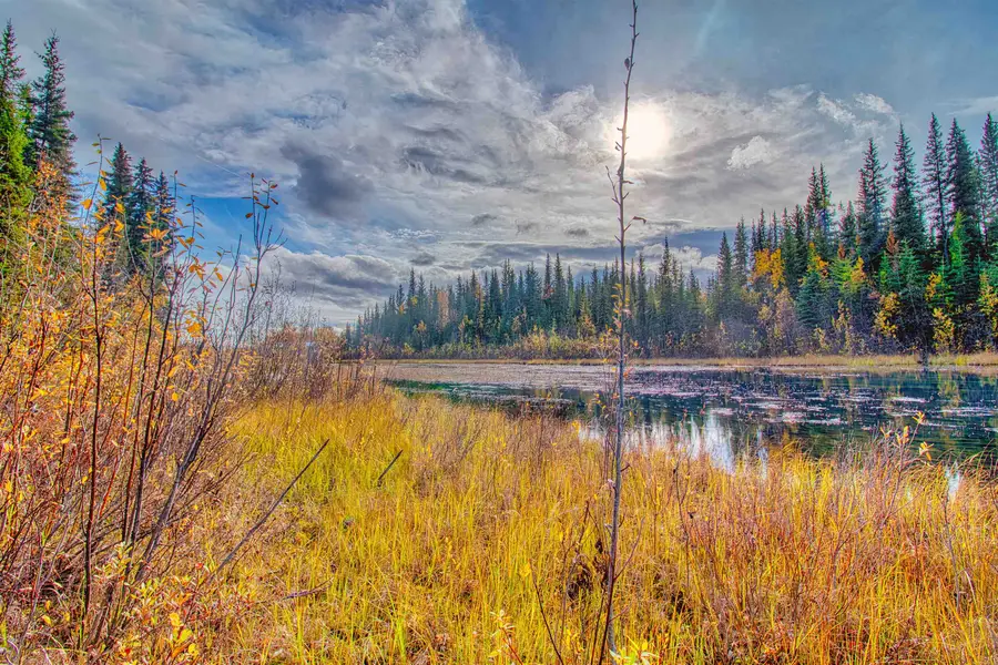 1983 BLACKBURN WAY, North Pole, AK 99705 - #3