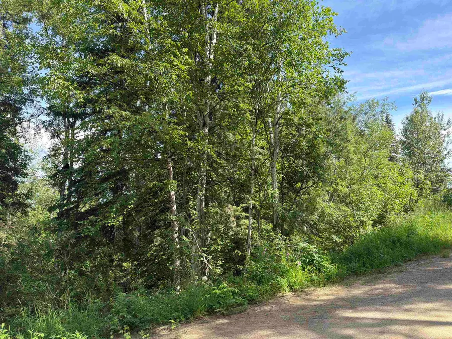 1528 ALDERWOOD DRIVE, Fairbanks, AK 99709 - #2