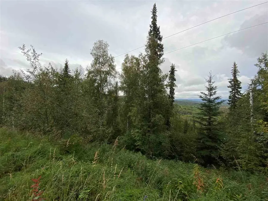 1528 ALDERWOOD DRIVE, Fairbanks, AK 99709 - #3