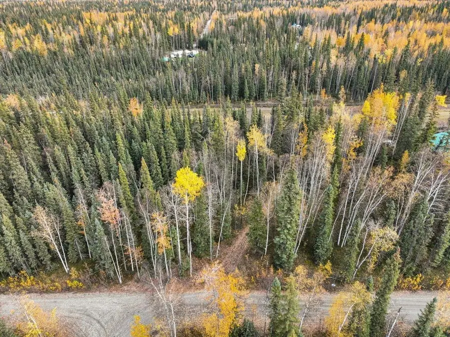 NHN TIMBER TRAIL, North Pole, AK 99705 - #2