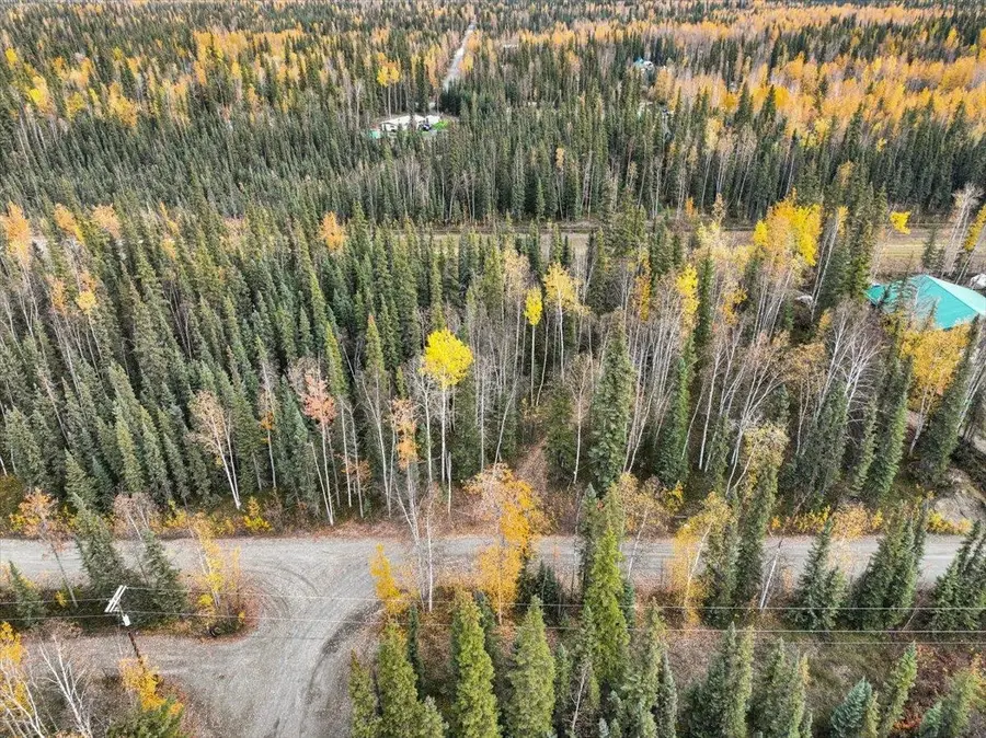 NHN TIMBER TRAIL, North Pole, AK 99705 - #3