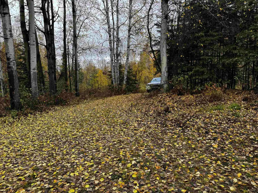 285 BULLION DRIVE, Fairbanks, AK 99712 - #2