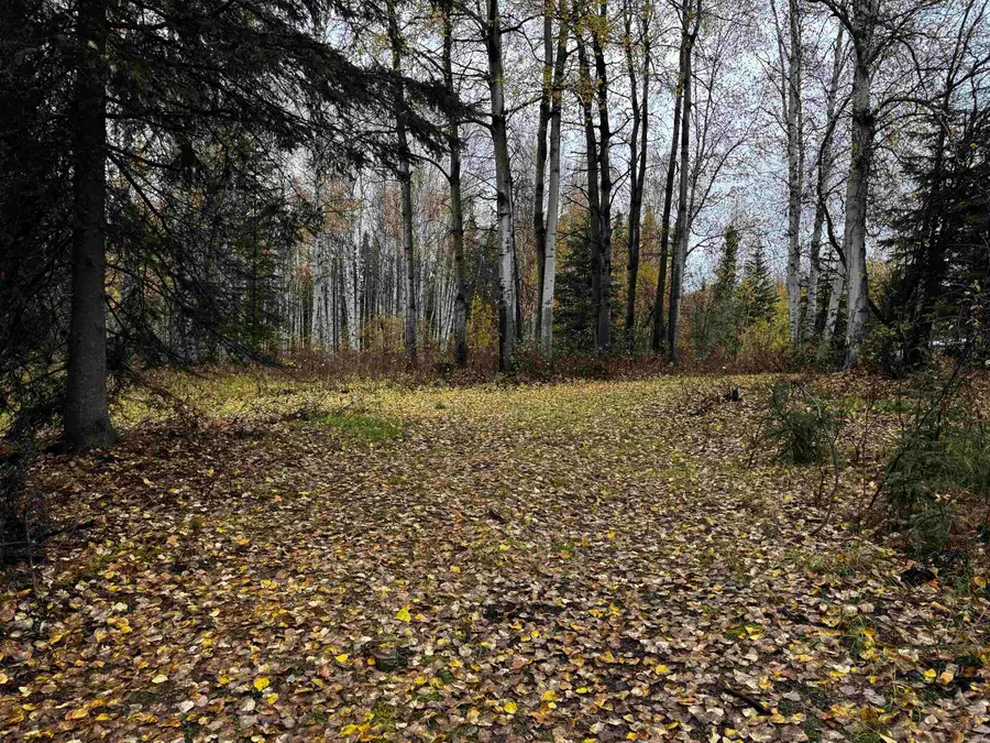 285 BULLION DRIVE, Fairbanks, AK 99712 - #3