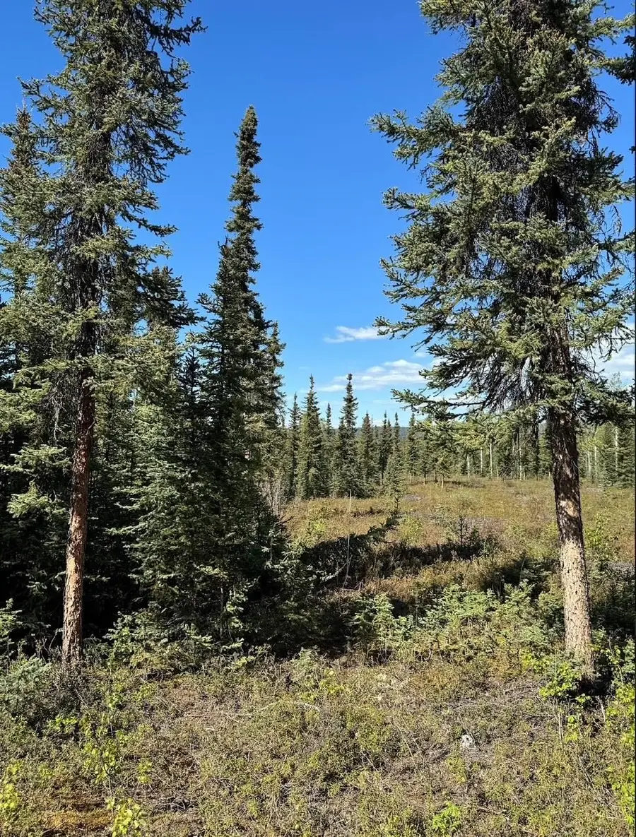 7424 HARDING DRIVE, Salcha, AK 99714 - #2