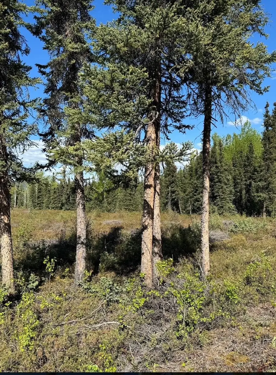 7424 HARDING DRIVE, Salcha, AK 99714 - #3