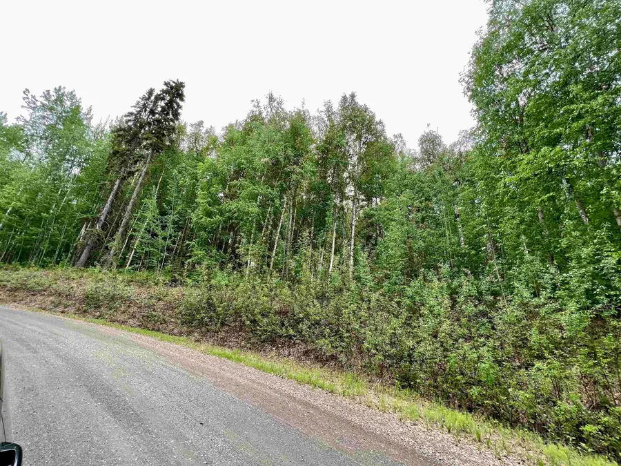 NHN WHITESIDE COURT #Lot 14, Fairbanks, AK 99709 - #3