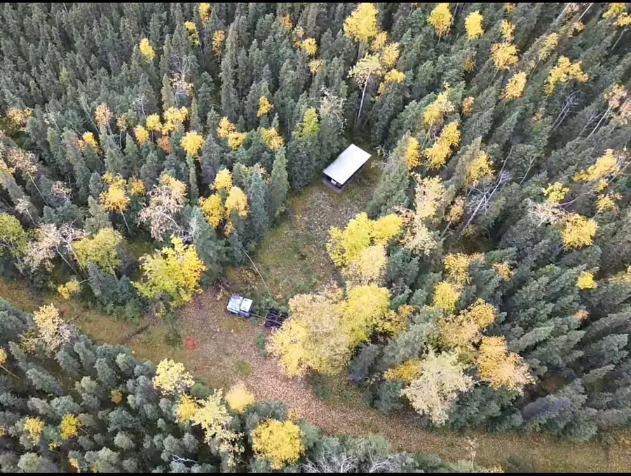 L2825&2826 COUNTRY ROAD, Salcha, AK 99714 - #3