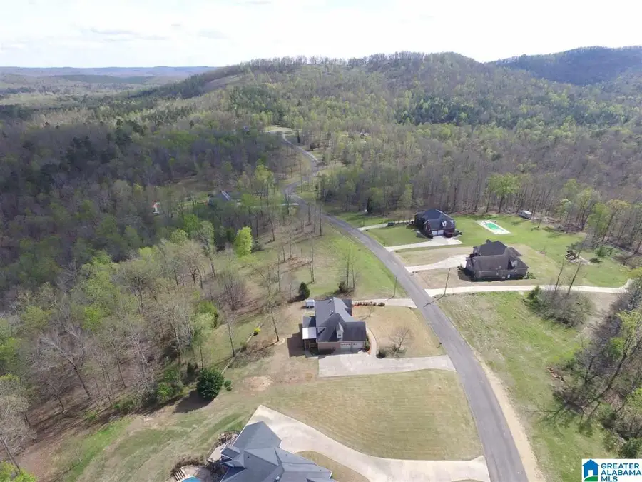 523 STONE RIDGE DRIVE, Springville, AL 35146 - Image #3