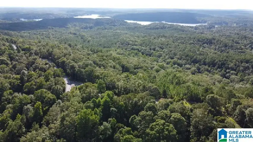 0 EAGLE MOUNTAIN ROAD, Rockford, AL 36091 - Image #1