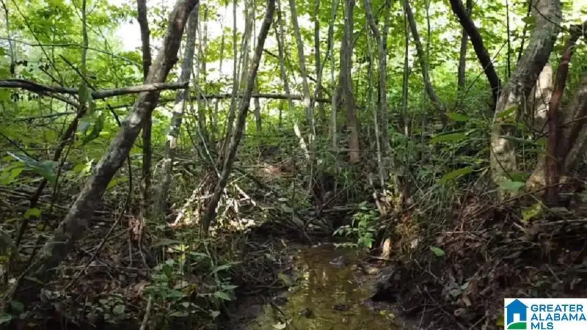 0 COUNTY ROAD 121, Rockford, AL 36091 - Image #1