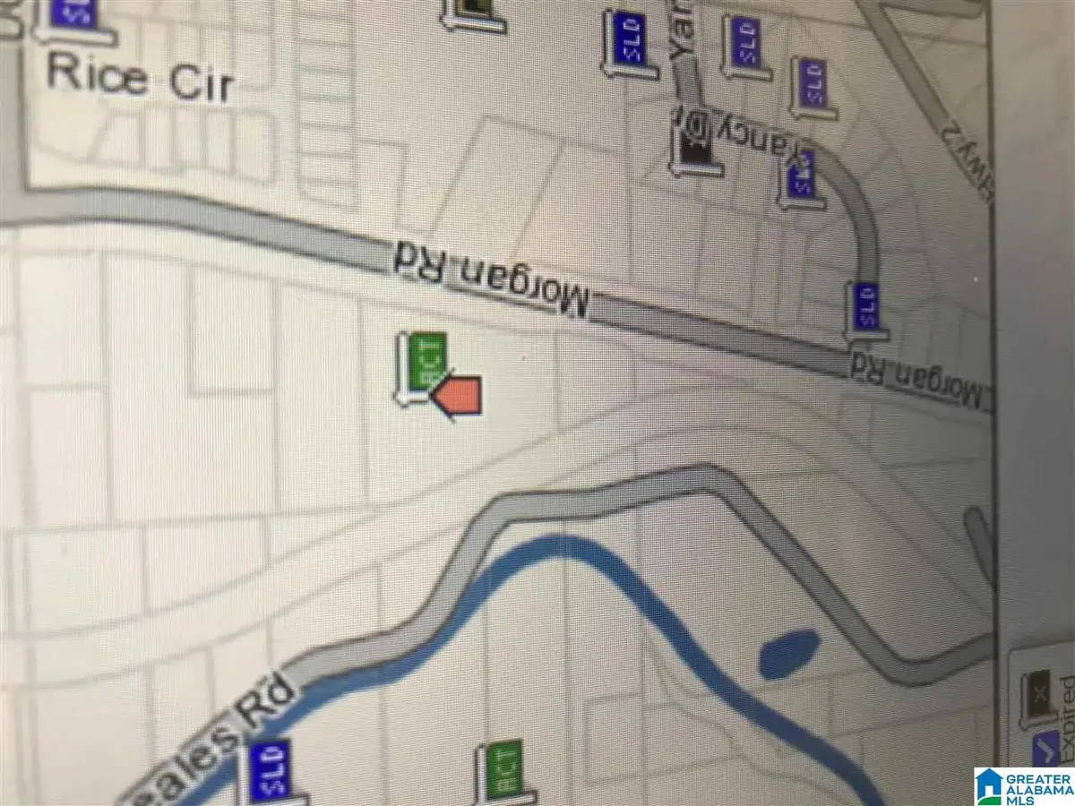 3318 MORGAN ROAD, Bessemer, AL 35022 - Image #1