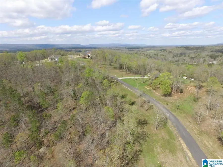 558 STONE RIDGE DRIVE, Springville, AL 35146 - Image #3