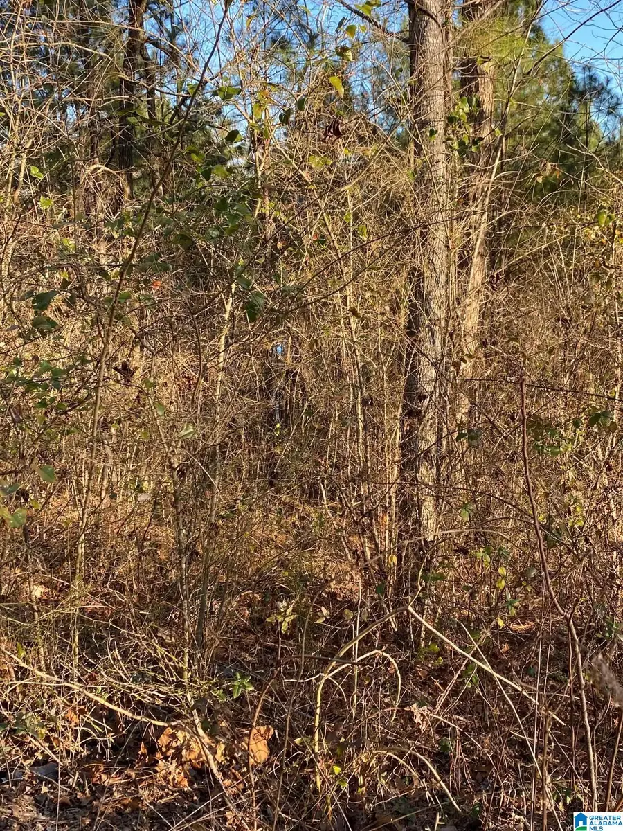 0 WOODLAND HILLS DRIVE, Springville, AL 35146 - Image #2