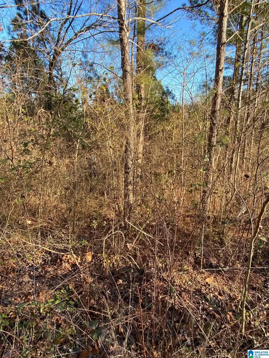 0 WOODLAND HILLS DRIVE, Springville, AL 35146 - Image #3