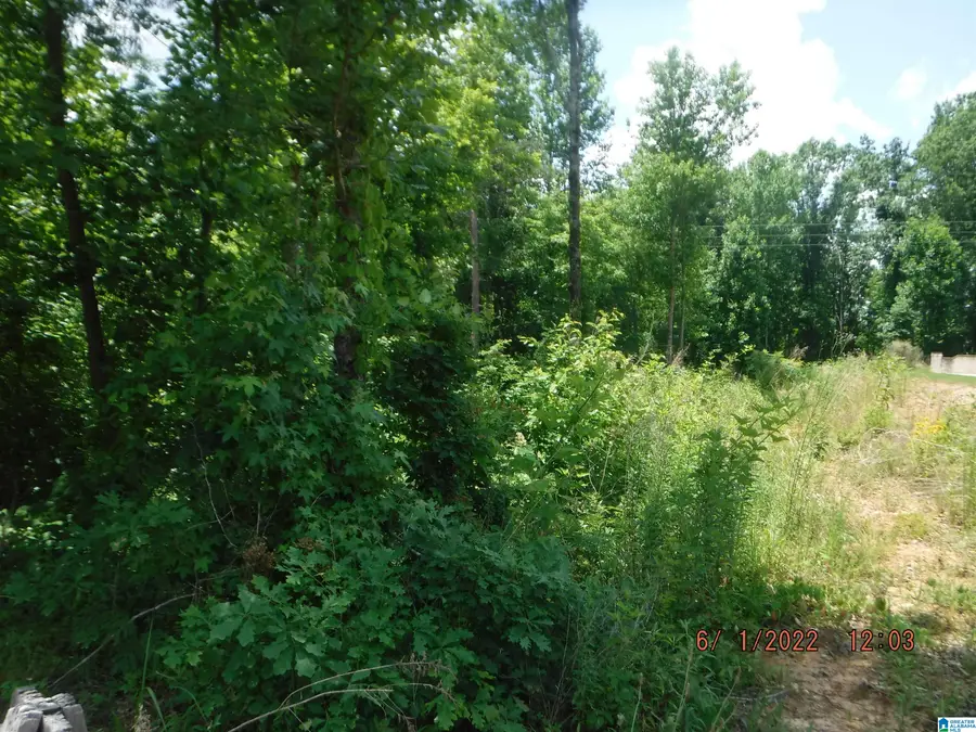 0 12TH COURT, Pleasant Grove, AL 35127 - Image #2