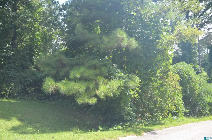 0 HILLTOP ROAD, Weaver, AL 36277 - Image #3