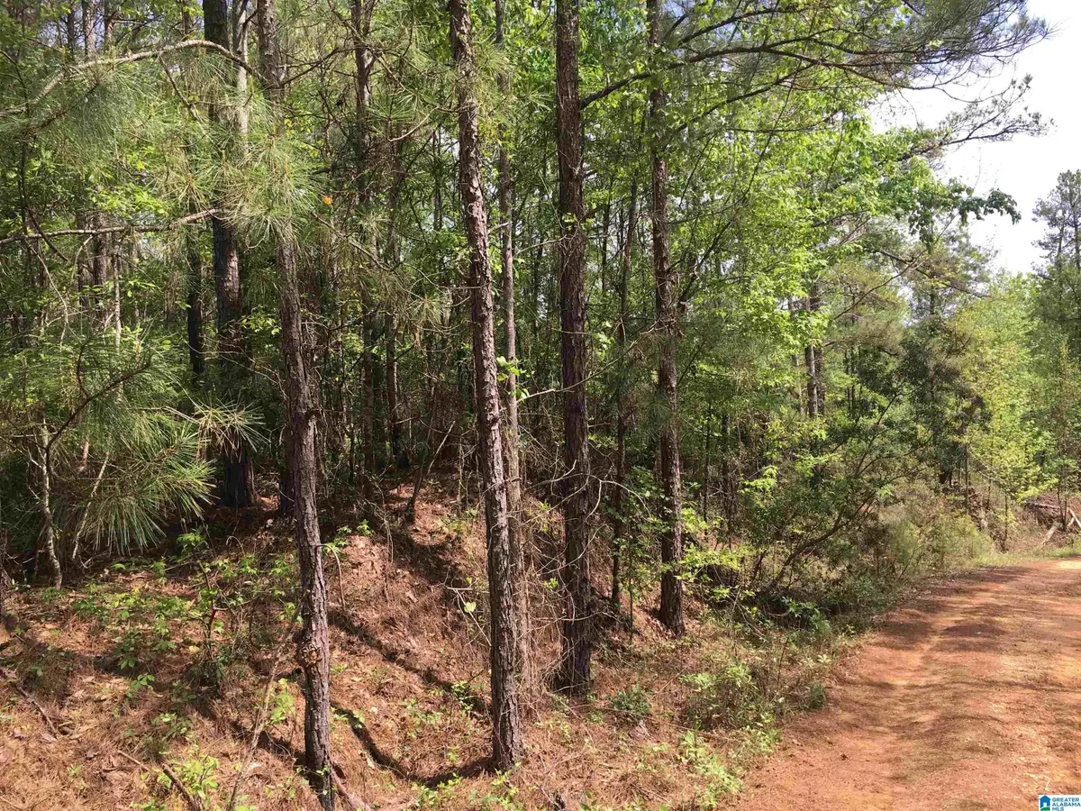 0 HIGHWAY 219, Centreville, AL 35042 - Image #1