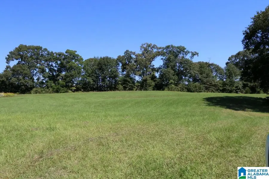0 WILSON ROAD, Clanton, AL 35045 - Image #3