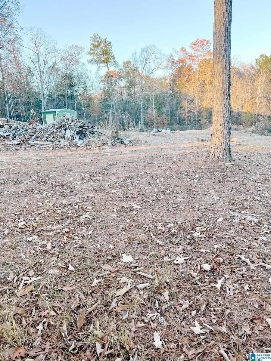 0 DOGWOOD DRIVE, Odenville, AL 35120 - Image #2