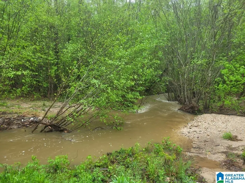 755 PINERIDGE ROAD, Sylacauga, AL 35151 - Image #1