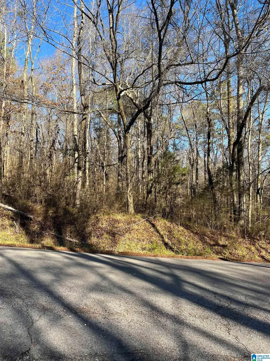 216 OAK FOREST DRIVE, Birmingham, AL 35217 - Image #3