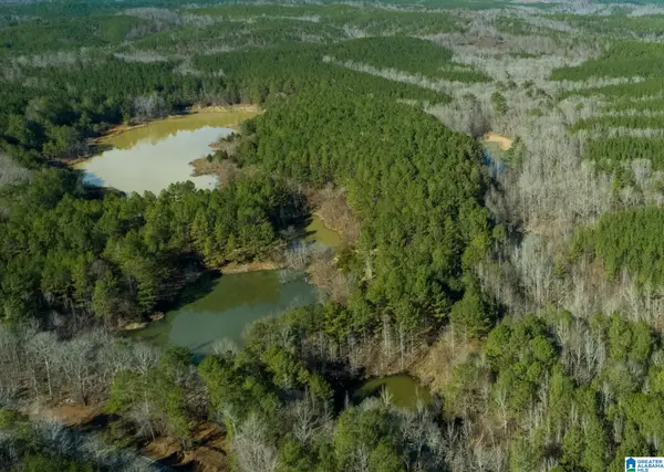 COUNTY ROAD 44, Brilliant, AL 35548