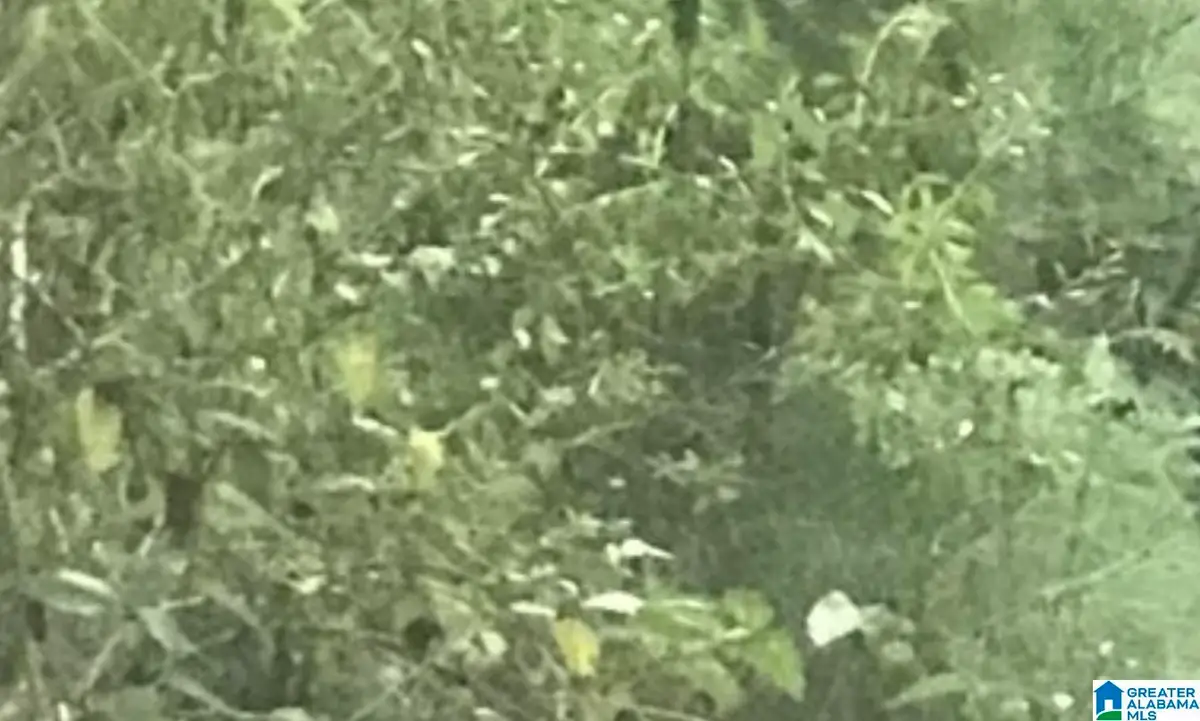 JUPITER CIRCLE, Alpine, AL 35014 - Image #1