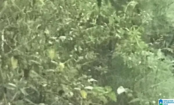 JUPITER CIRCLE, Alpine, AL 35014