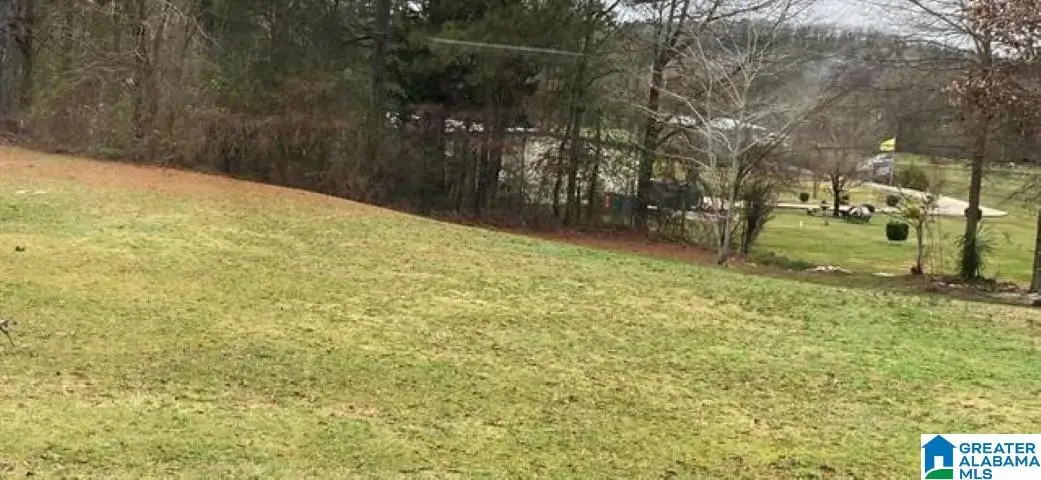 127 AMANDA DRIVE, Vincent, AL 35178 - Image #1