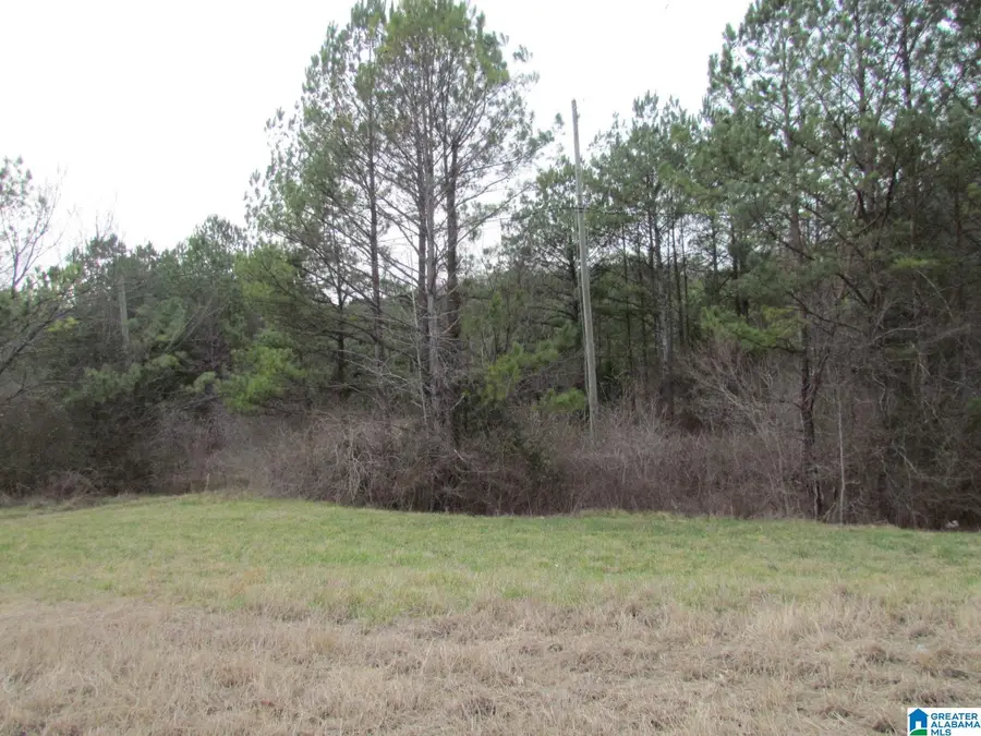 00 HIGHWAY 75, Remlap, AL 35133 - Image #2