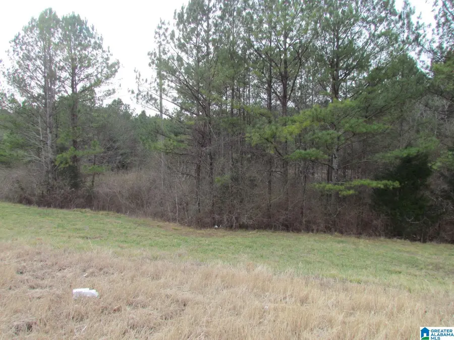 00 HIGHWAY 75, Remlap, AL 35133 - Image #3